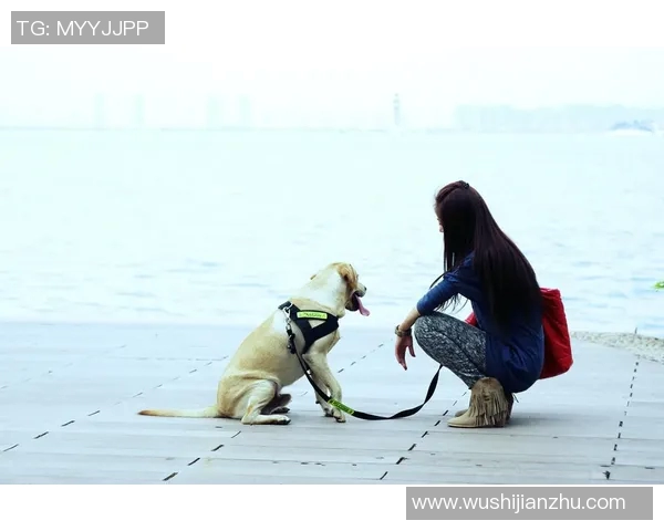 足球明星邂逅美女瞬间的真实反应与幽默趣事大揭秘