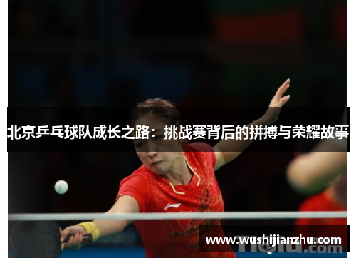 北京乒乓球队成长之路：挑战赛背后的拼搏与荣耀故事