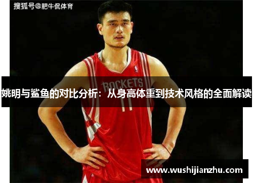 姚明与鲨鱼的对比分析：从身高体重到技术风格的全面解读