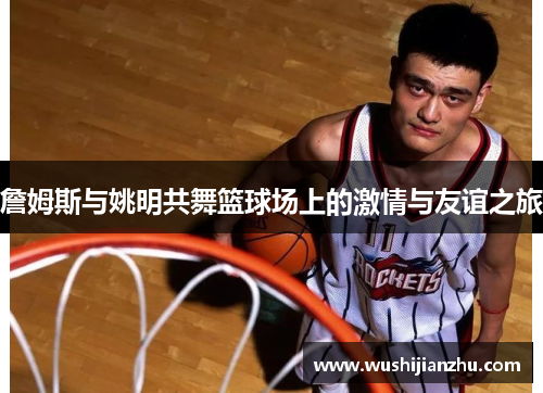 詹姆斯与姚明共舞篮球场上的激情与友谊之旅